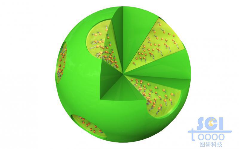 帶八分之一切口的放射狀介孔球