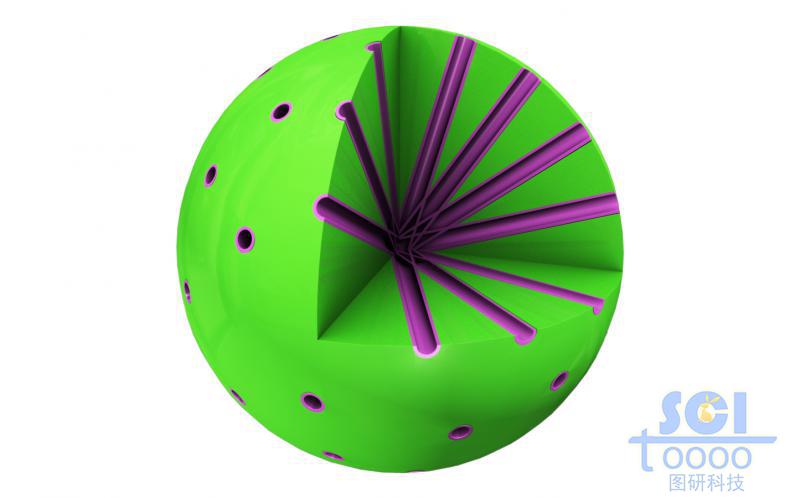 放射狀孔道的介孔硅球