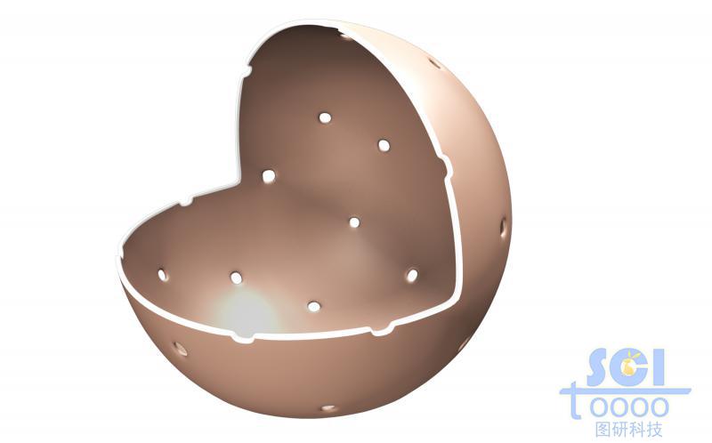 帶核孔的八分之一切口的細胞核