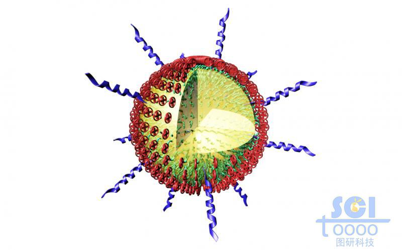 帶+電荷的高分子鏈段納米球