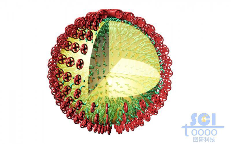 內(nèi)部液體填充表面附著均勻的帶+電荷的高分子鏈段的納米球