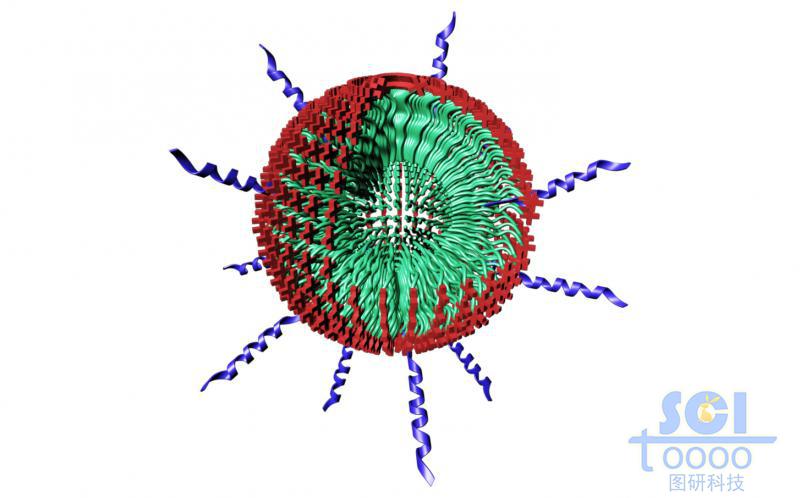帶+電荷的高分子鏈段納米球