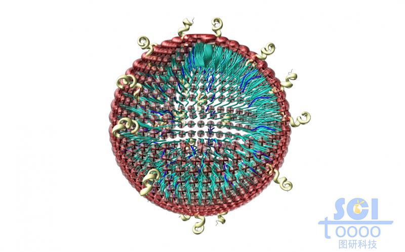帶+電荷的高分子鏈段納米球