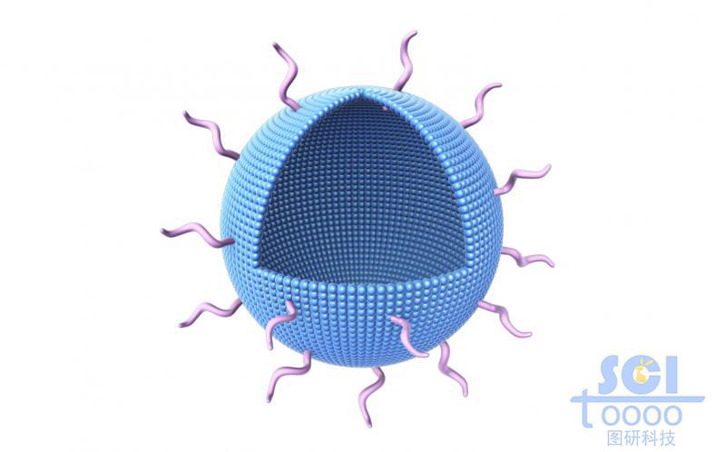 單壁空心納米球