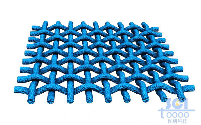 縱橫交錯(cuò)的網(wǎng)狀膜結(jié)構(gòu)