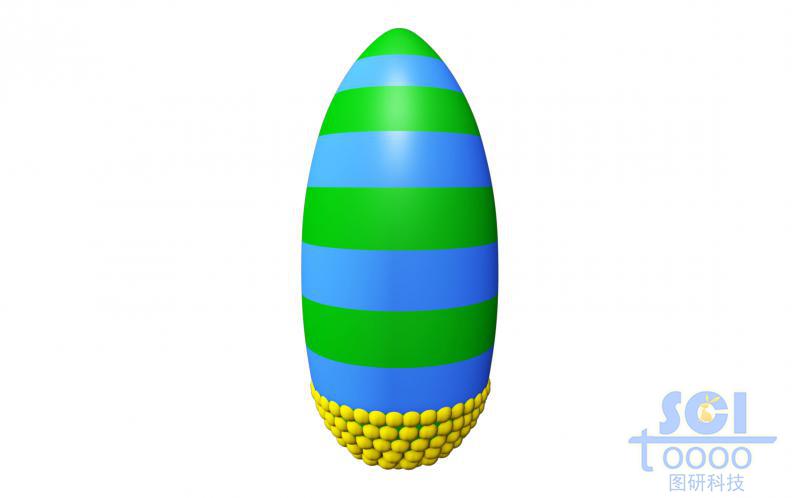 兩種高分子結(jié)構(gòu)形成的橄欖球狀聚合物底部呈現(xiàn)小球堆積狀