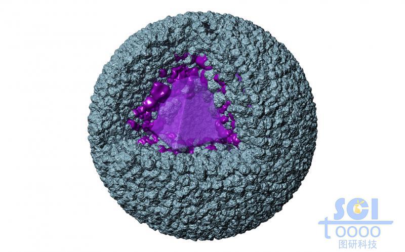納米顆粒堆積的表面多孔道的空心球殼結(jié)構(gòu)內(nèi)部生長多面體結(jié)晶