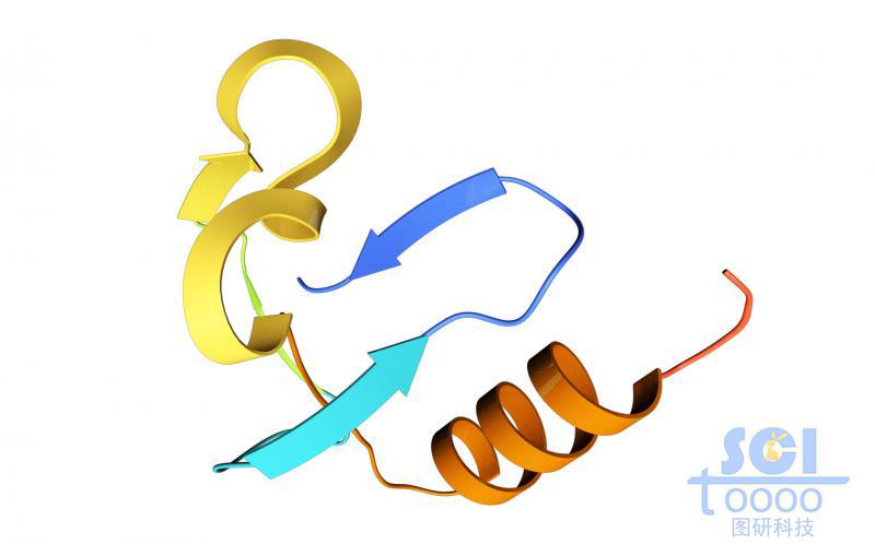 蛋白質(zhì)結(jié)構(gòu)