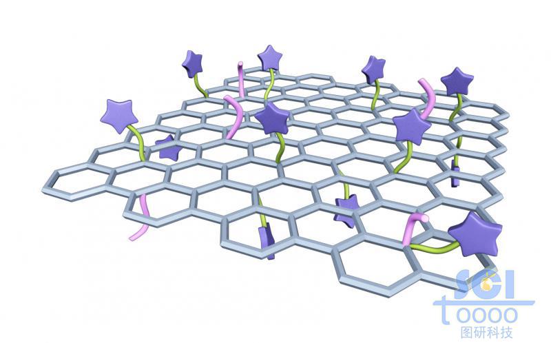 負(fù)載小分子基團(tuán)和分子鏈段的石墨烯片