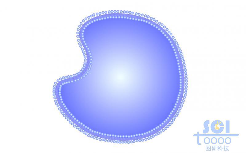 帶磷脂雙分子層的細(xì)胞膜