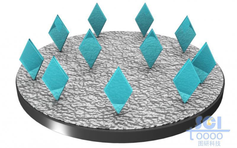 電極表層修飾粗糙涂層上面修飾抗體結(jié)構(gòu)