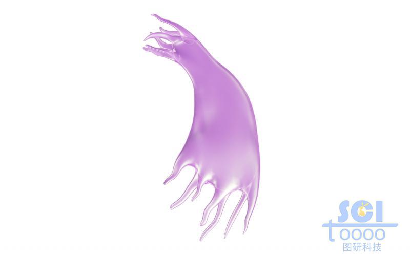 帶觸角的細胞單體