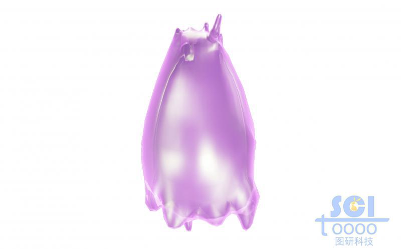 帶觸角的細胞單體