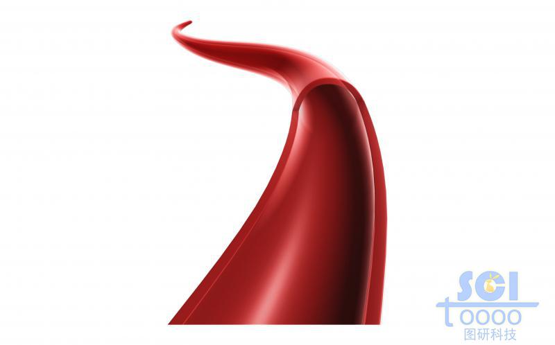 單根血管前段帶切開結(jié)構(gòu)