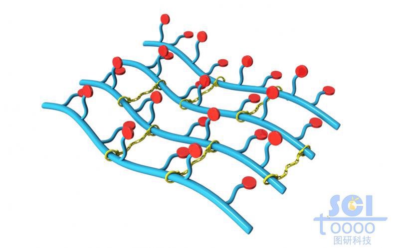 帶分支基團的高分子鏈端形成的網(wǎng)狀結構