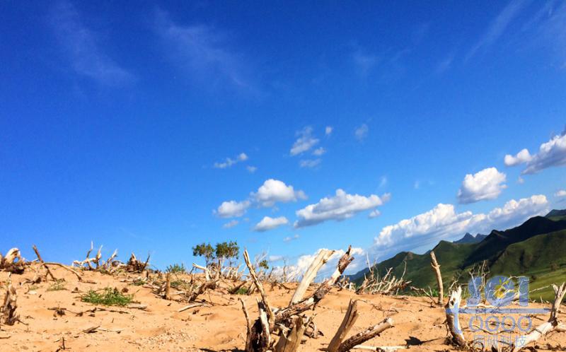 沙天地 藍(lán)天