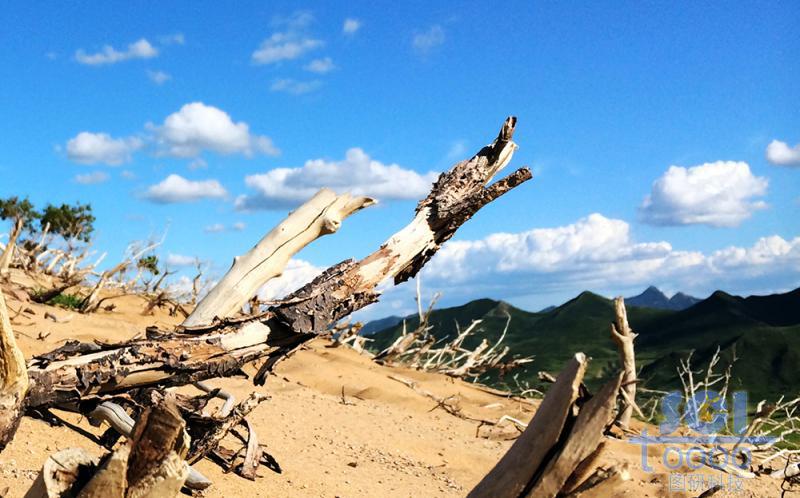 沙天地 藍(lán)天
