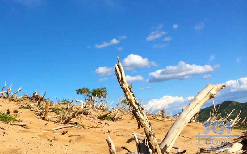 沙天地 藍(lán)天