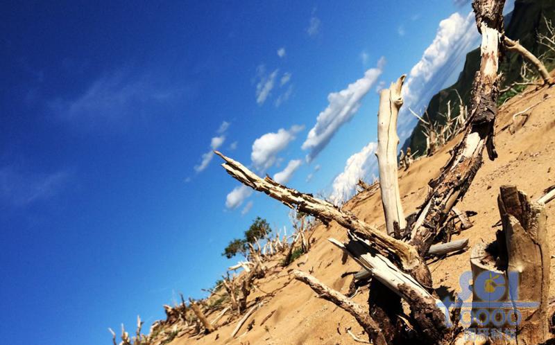 沙天地 藍(lán)天