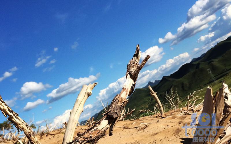 沙天地 藍(lán)天