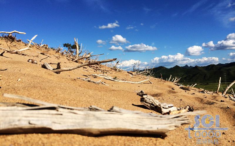 沙天地 藍(lán)天