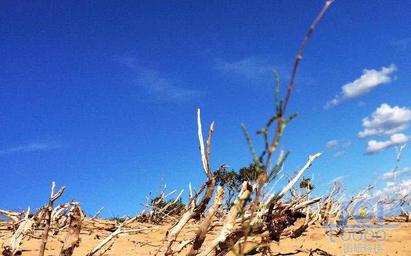 沙天地 藍(lán)天