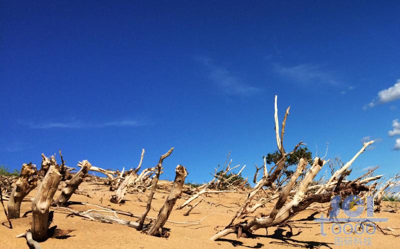 沙天地 藍(lán)天