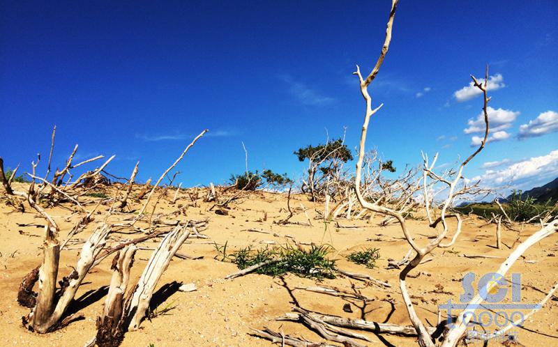 沙天地 藍(lán)天