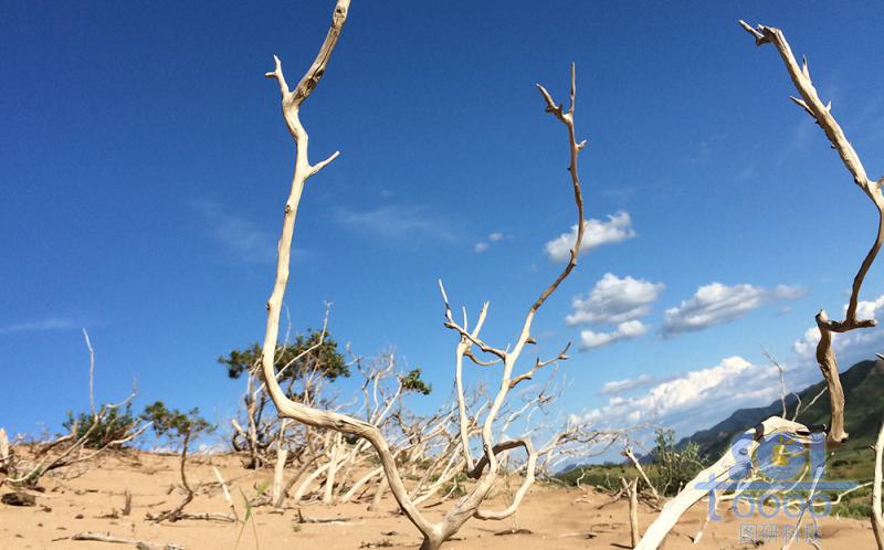 沙天地 藍(lán)天