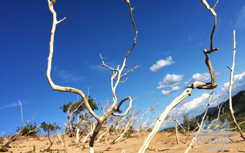 沙天地 藍(lán)天