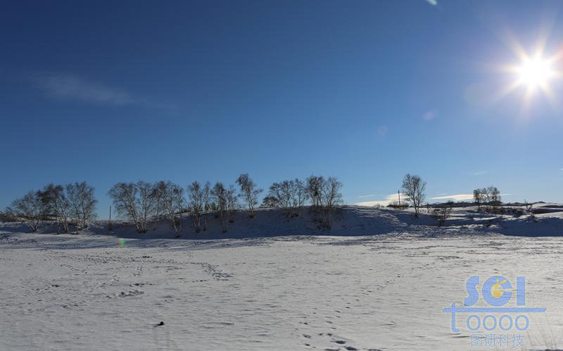 藍天雪地