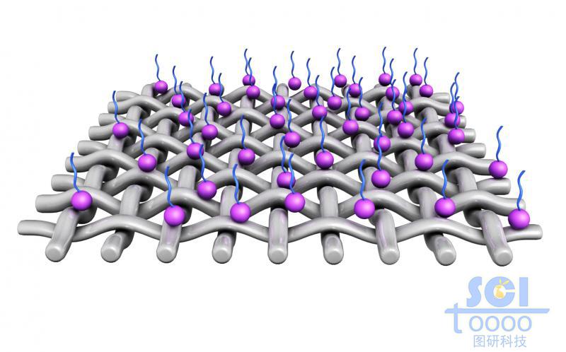 表面附著高分子的縱橫交錯(cuò)的網(wǎng)狀膜結(jié)構(gòu)