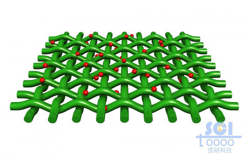 表面附著分子顆粒的縱橫交錯(cuò)的網(wǎng)狀膜結(jié)構(gòu)