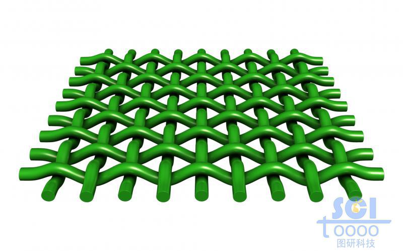 縱橫交錯(cuò)的網(wǎng)狀膜結(jié)構(gòu)