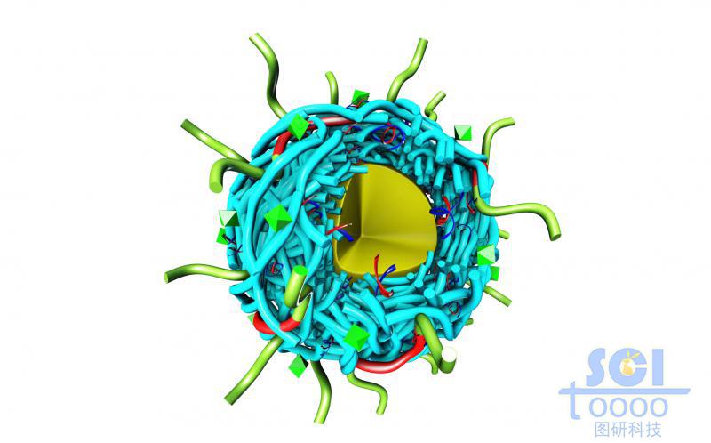 橫向交聯(lián)的帶八分之一切口的多聚肽納米膠束