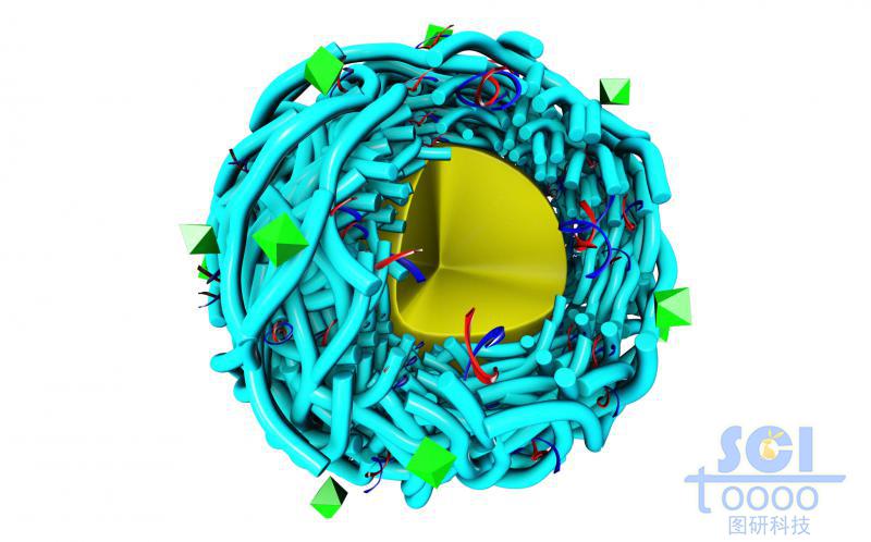 橫向交聯(lián)的帶八分之一切口的多聚肽納米膠束