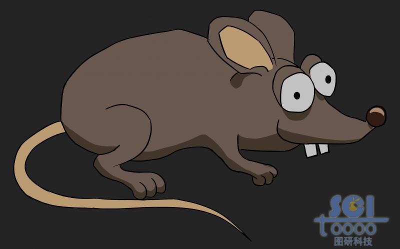 正側(cè)面卡通鼠