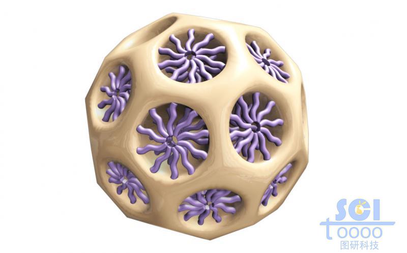 二氧化硅介孔中空球孔道內(nèi)修飾聚合物