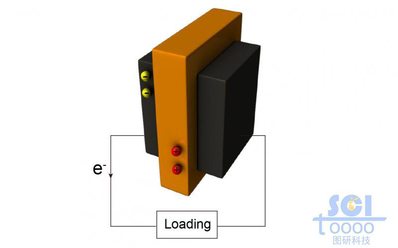 電極示意結(jié)構(gòu)