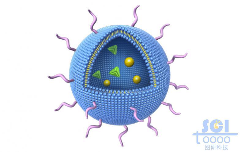 八分之一切口的氯化鈉脂質(zhì)體