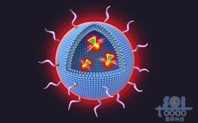 八分之一切口的發(fā)熱的氯化鈉脂質(zhì)體