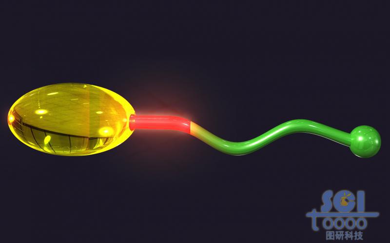 一頭熒光物質(zhì)一頭連接小分子基團(tuán)的高分子鏈段