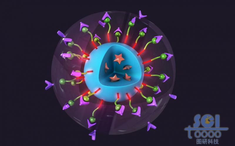 透明質(zhì)酸HA和VE-SS-OEG末端的氨基修飾的納米顆粒