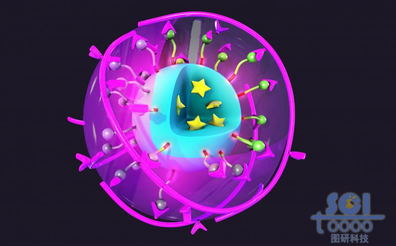 透明質(zhì)酸HA和VE-SS-OEG末端的氨基修飾的納米粒子