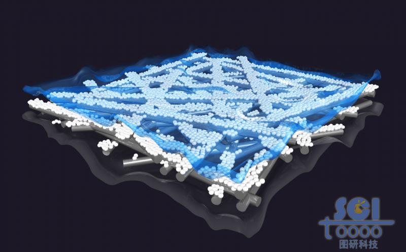 附著納米顆粒的纖維骨架