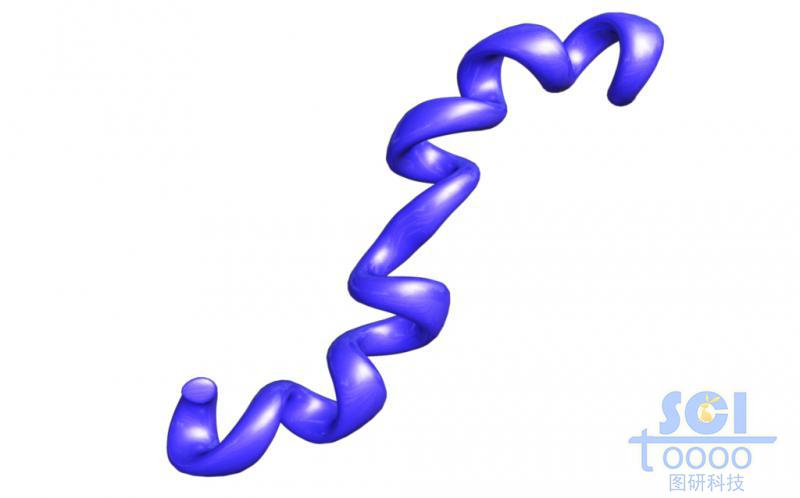 短肽鏈結(jié)構(gòu)