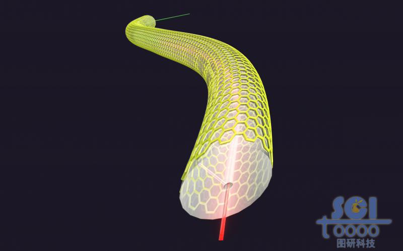 表面附著石墨烯的光纖
