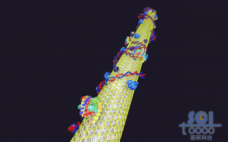 光纖表面包裹石墨烯結(jié)構(gòu)，且附著生物結(jié)構(gòu)