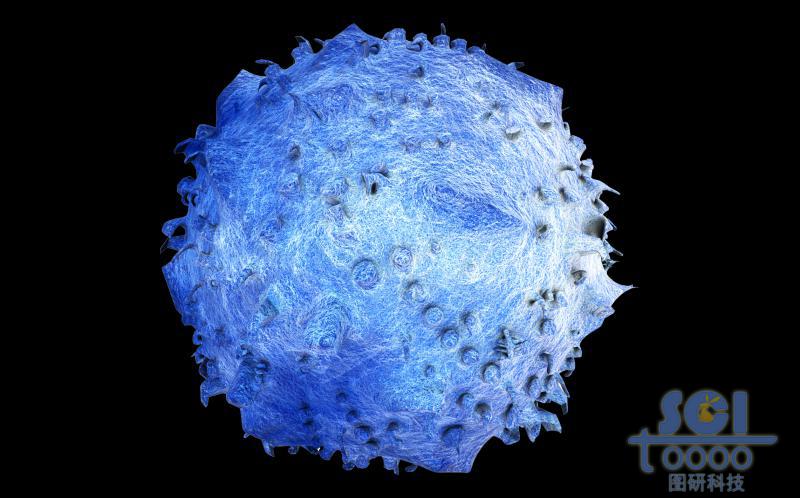 表面凹凸不平的巨噬細(xì)胞