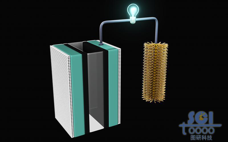 陽極為多層結構陰極為毛刷結構的電池
